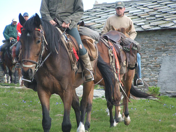 cavallo e cavaliere