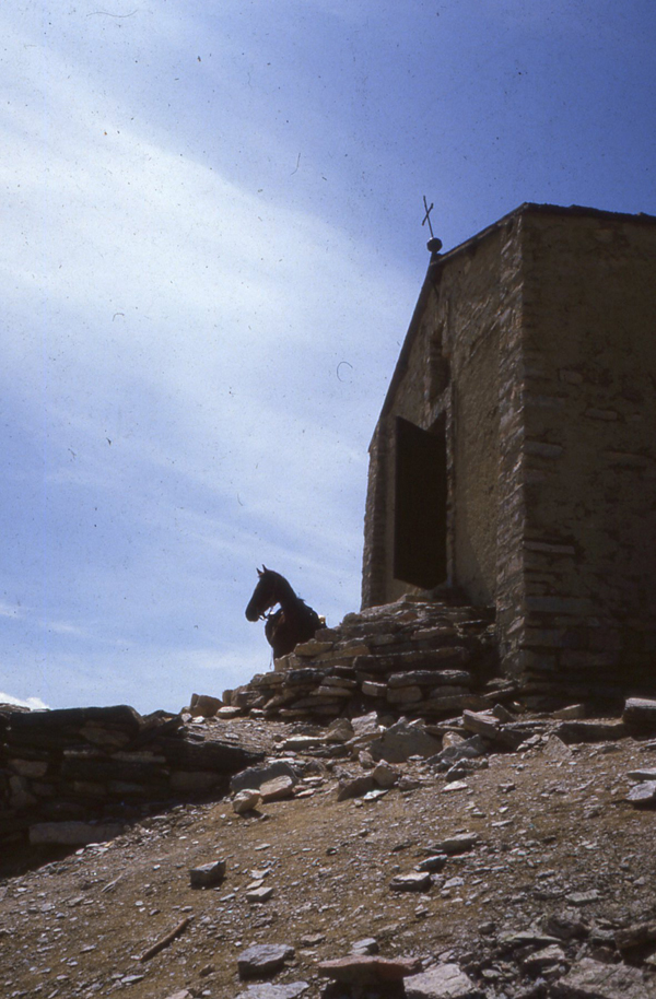 gregorio in cima al tabor