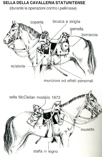 Cavallo Sella Italiano: origini, carattere e caratteristiche - Idee Green