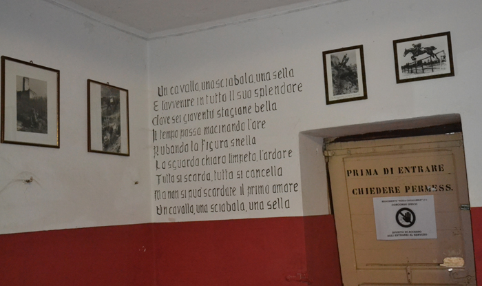 museo cavalleria Pinerolo